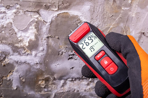 Best Basement Mold Remediation in Coopersville, MI