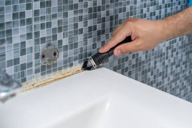 Best Emergency Mold Remediation in Coopersville, MI